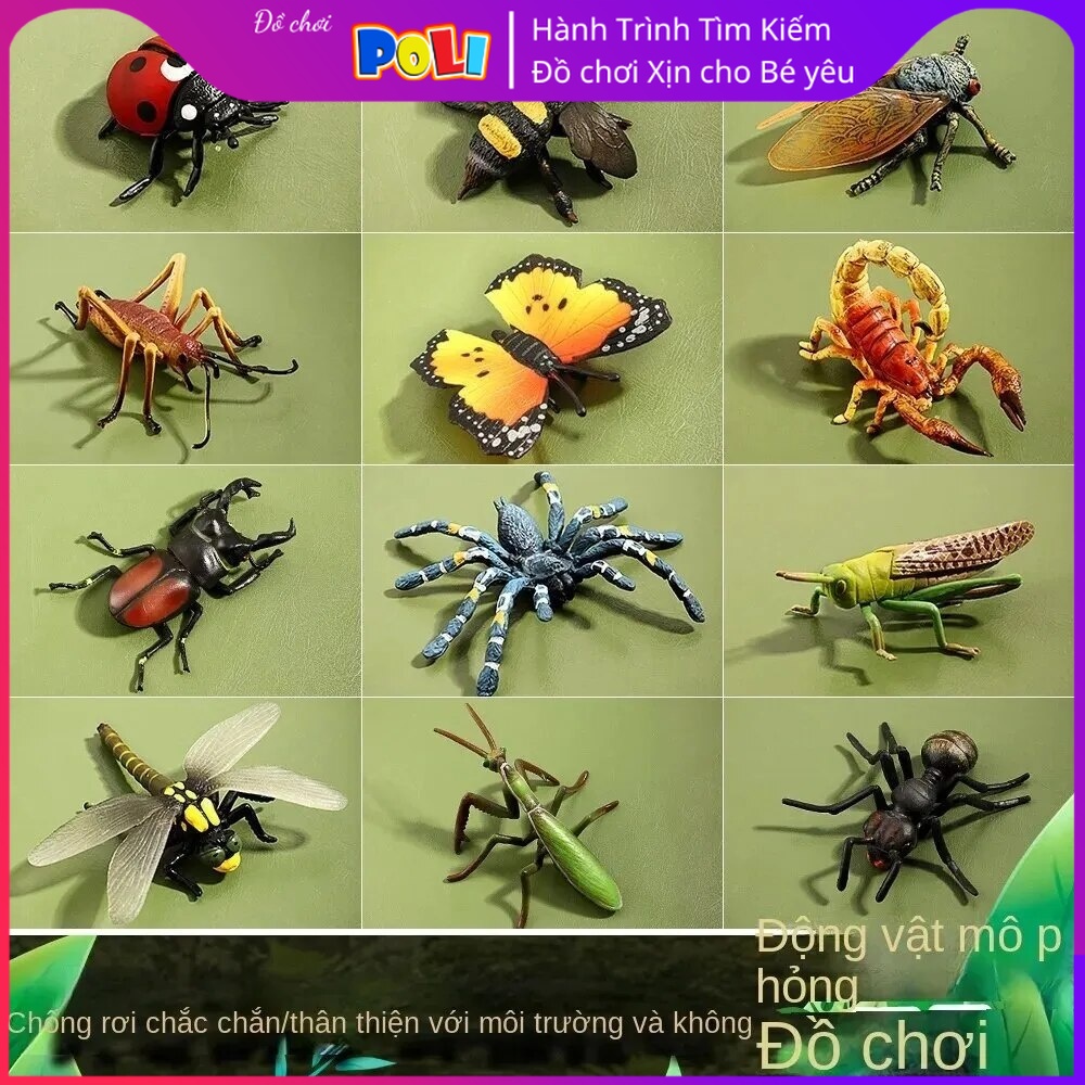 Mô Hình Côn Trùng | Nhện | Ong | Bướm | Bọ Ngựa | Chuồn Chuồn - Đồ Trang Trí Và Giáo Dục Sớm Cho Trẻ Em Montessori