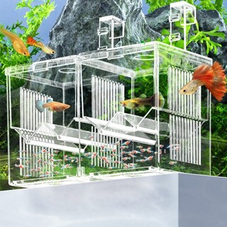 Hộp Ấp Trứng Cá Mini Tiện Lợi