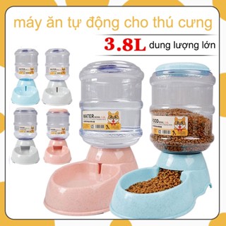 3.8L Bình Đựng Thức Ăn Nước Uống Tự Động Dành Cho Chó Mèo Khay Ăn Uống Tự Động Thú Cưng Máy Ăn Tự Động
