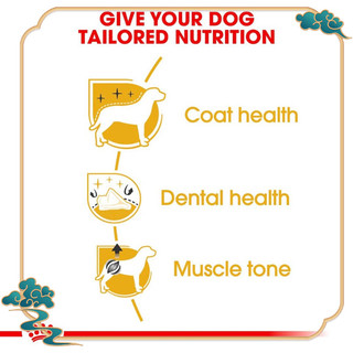 THỨC ĂN CHO CHÓ ROYAL CANIN POODLE-CHUBBY MEW