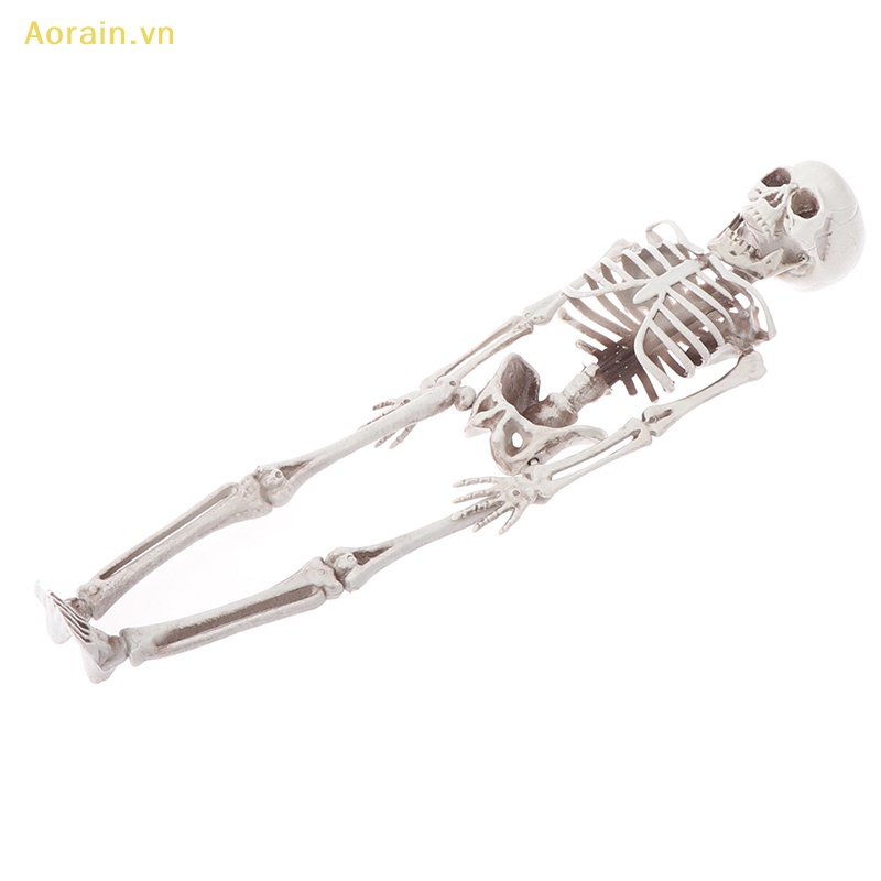 Bộ Xương Trang Trí halloween 40cm Độc Đáo