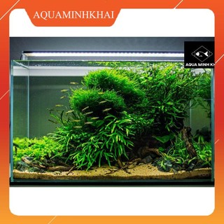 Cát nắng vàng (trang trí bể cá cảnh, bể thủy sinh, trang trí terrarium)