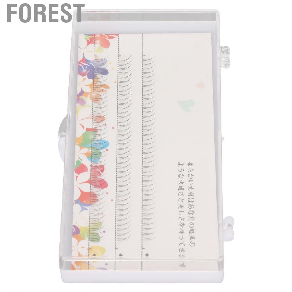 Forest V Shaped Lower Lashes Bottom