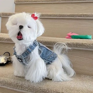 Váy Yếm denim Dễ Thương Cho Thú Cưng