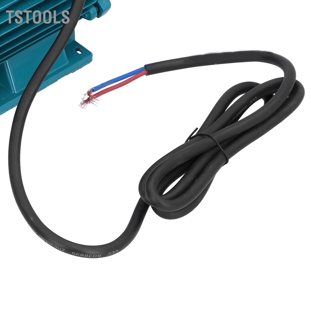 TSTOOLS Máy bơm nước Động cơ cánh quạt đơn cực Công cụ tưới hút ngang 15m 180W DC12V