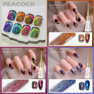 ✔candy xeijayi gel đổi màu móng tay mắt mèo gel sơn móng tay đá pha lê candygirla.vn