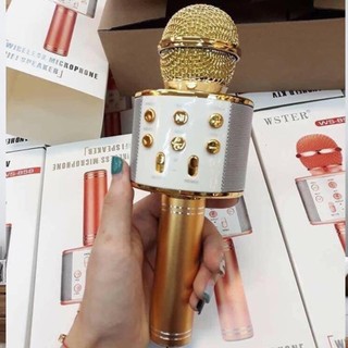 (Bán buôn-chuyên sỉ) Mic Karaoke Ws-858
