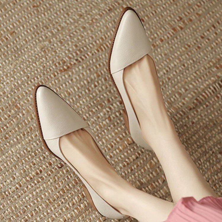 Giày Gót Thấp Mũi Nhọn Che Phủ Chân Thời Trang Dành Cho Nữ