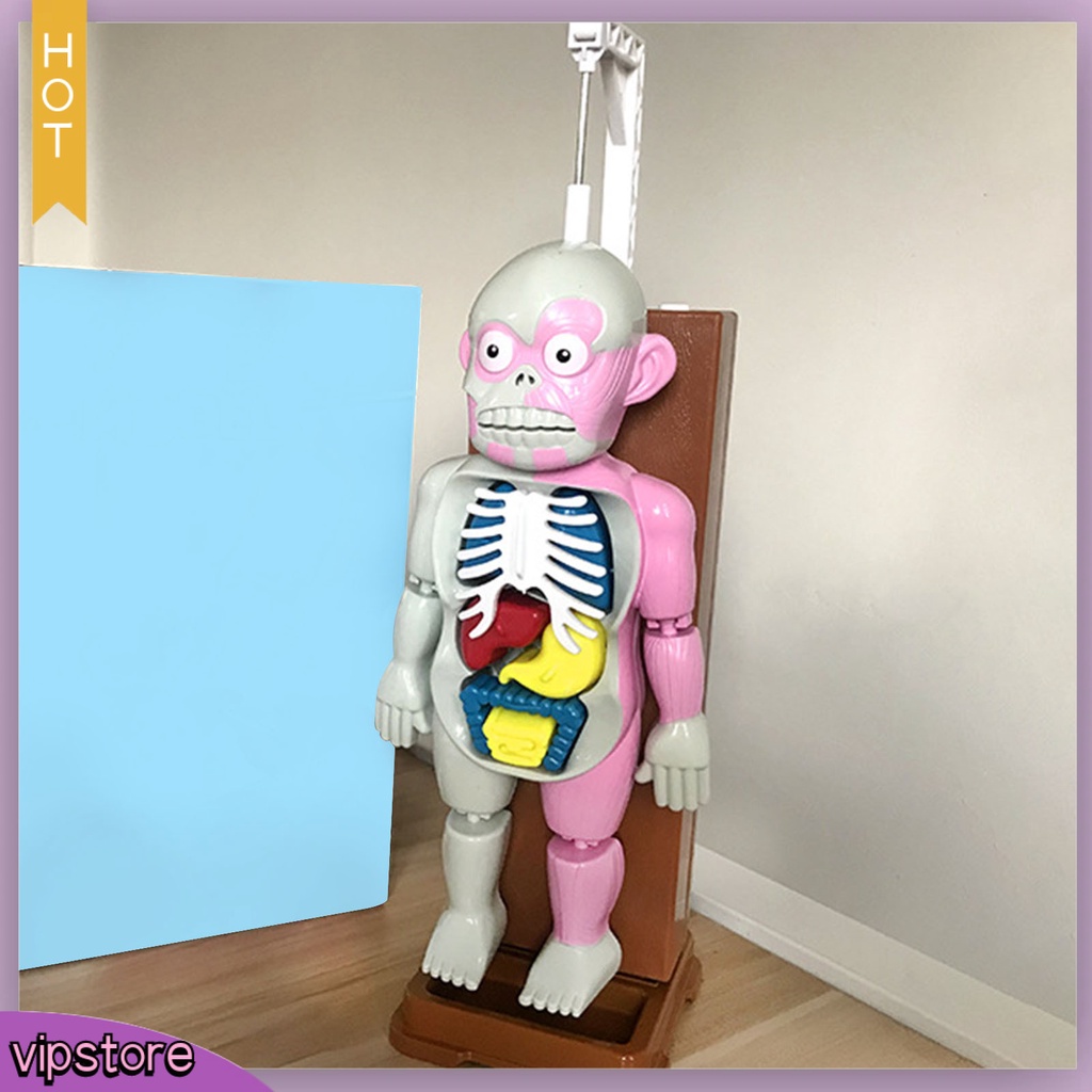 Set 37 Thẻ Ma Nơ Canh Có Âm Thanh Hóa Trang halloween