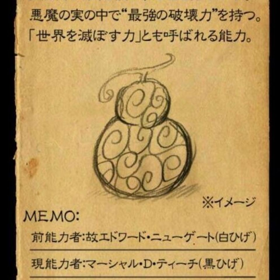 One piece trái ác quỷ One Sách Cao Su Sưu Tầm Hình Trái Cây Ác Quỷ / ace / luffy