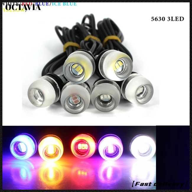 At Đèn led Mắt Đại Bàng 18mm 12v Ánh Sáng Đen Chống Thấm Nước Gắn Biển Số Xe Hơi