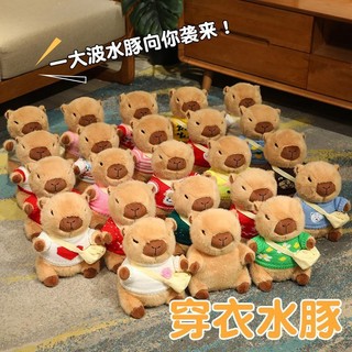 Búp bê Capybara Món quà sinh nhật búp bê Capybara dễ thương cho bạn bè Quà tặng ngày lễ