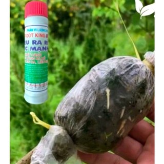 KÍCH RA RỄ ROOT KING SIÊU NHANH