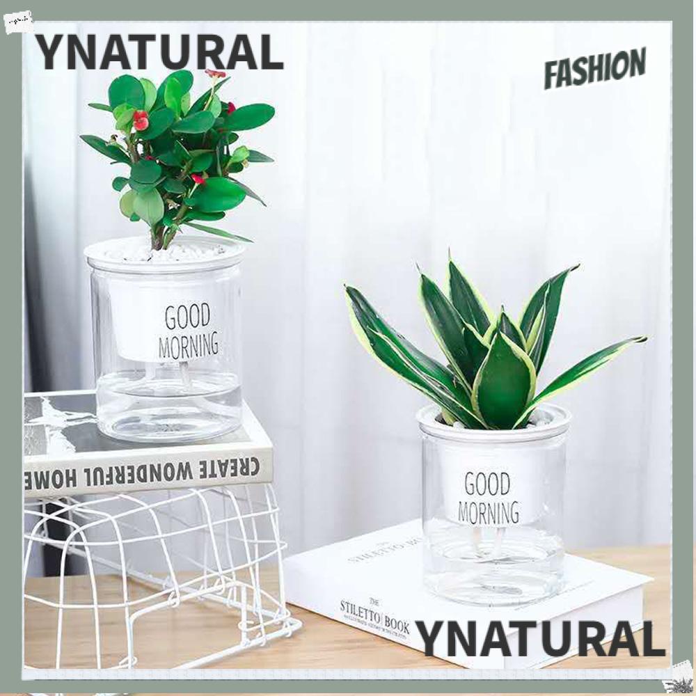 Ynatural Chậu Hoa Tự Tưới Bằng Nhựa Kỵ Nước Nhỏ Gọn Dễ Thương Trang Trí Văn Phòng