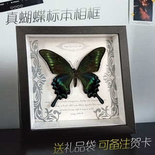 #抖音同款真蝴蝶标本相框 khung ảnh để bàn phong cách châu âu cổ điển 11.23 z