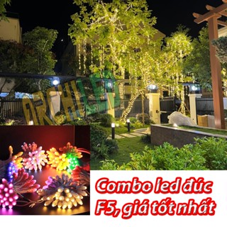 Combo 20 Cuộn Đèn LED Đúc F5 12V Quấn Cây Ngoài Trời 60m Chống Nước IP67 Trang Trí Lễ Tết 
