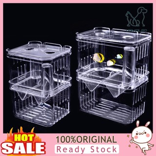 Hộp Ấp Trứng Cá Hai Tầng Bằng Acrylic Trong Suốt