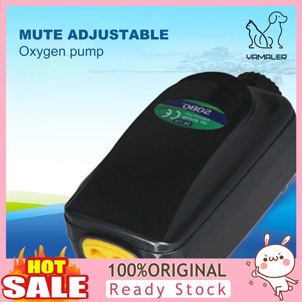 Máy Bơm Oxy Không Gây Tiếng Ồn Cho Bể Cá