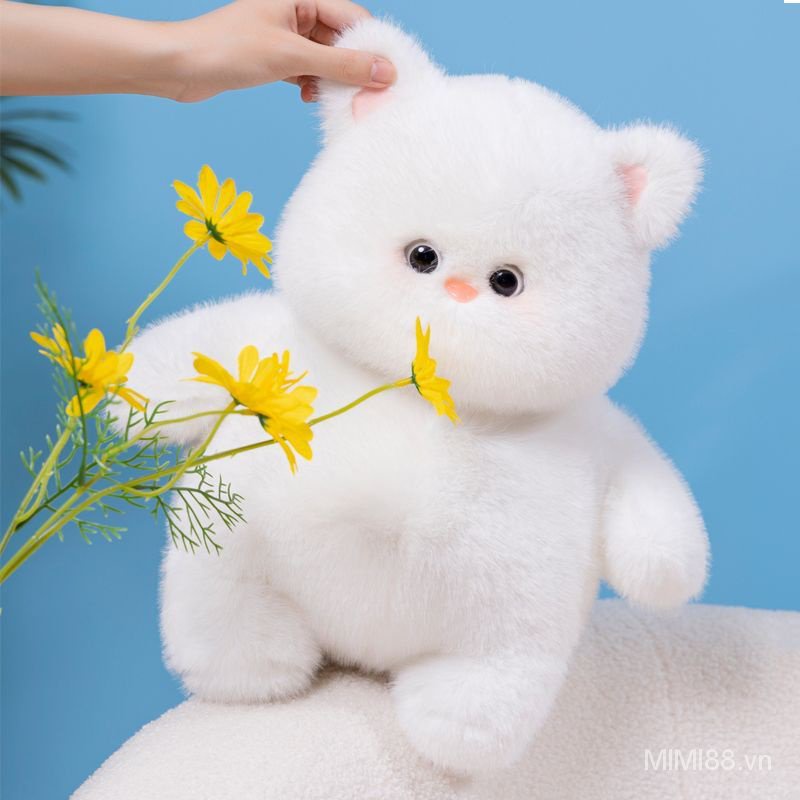 Mèo Nhồi Bông Siêu Mềm Màu Trắng Dễ Thương Dùng Làm Quà Tặng