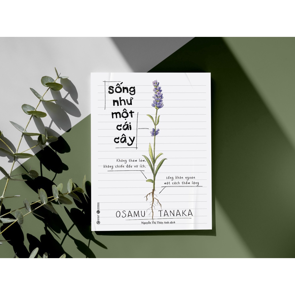Sách - Sống Như Một Cái Cây: Không Tham Lam, Không Chiến Đấu Vô Ích, Sống Khôn Ngoan Một Cách Thầm Lặng - Thái Hà
