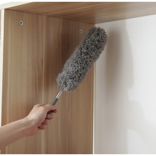 Cây vệ sinh trên cao mạng nhện trần nhà