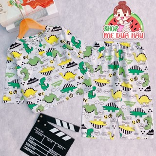 Bộ tole dài tay bé trai, đồ bộ lanh mặc nhà bé trai Shop mẹ dưa hấu 10-45kg
