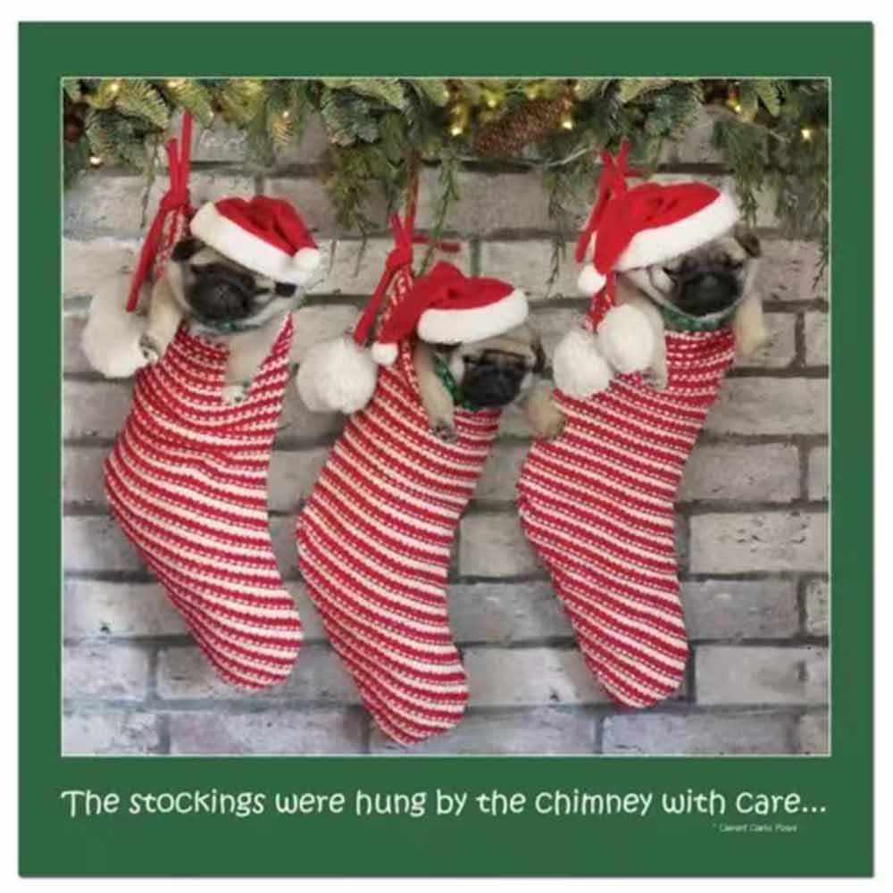 Pugs and Kisses 2024 Calendar Dog Breed Wall Calendar Month to View Calendar