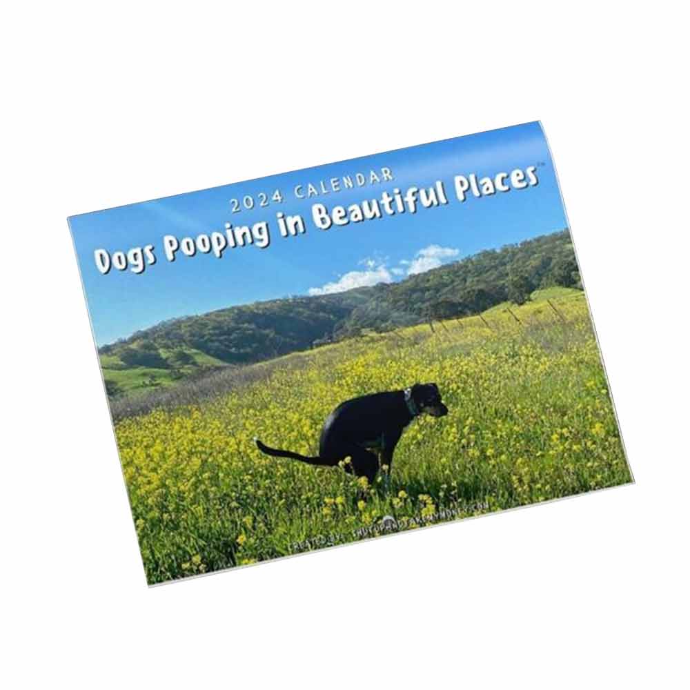 2024 Calendar-Funny Dogs Pooping in Beautiful Places Wall Calendar