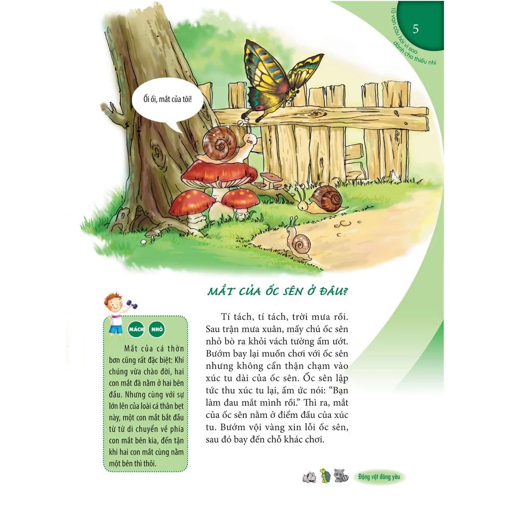 Sách - 10 Vạn Câu Hỏi Vì Sao - Gấu Trúc, Voi Và Kiến - MLB