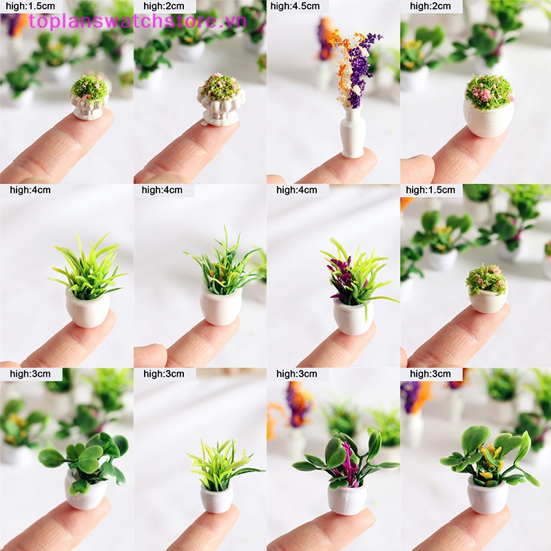 Toplanswatchstore Chậu Cây mini 12 Kiểu 1: 12 Thân Thiện Với Môi Trường Trang Trí Nhà Búp Bê
