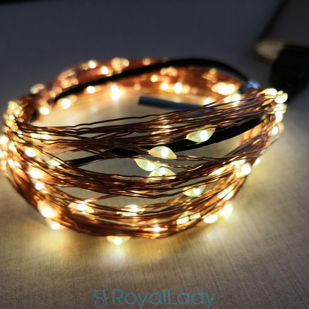 Dây Đèn Led 10m 100 Bóng Trang Trí Sinh Động