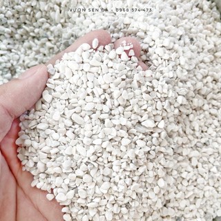 Sỏi trang trí sen đá các loại (1kg)