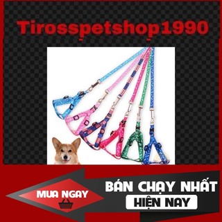 [❌GIÁ SỈ❌] Set Dây xích ngực chó mèo thú cưng chống trầy cổ - Hàng hoa văn cao cấp ❤️
