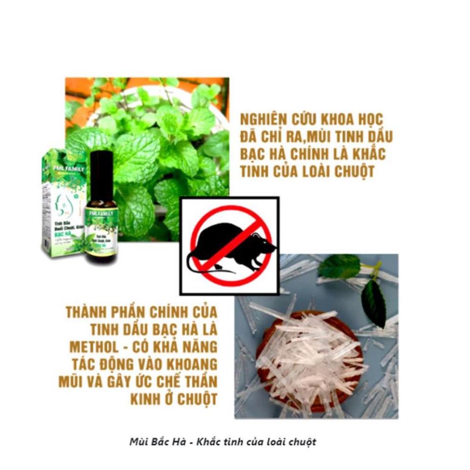 Xịt đuổi chuột - an toàn trẻ nhỏ và mẹ bầu - Xua đuổi chuột, gián chỉ sau 1 lần xịt - Danh Gia Dụng
