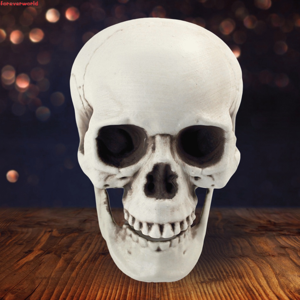 Mô Hình Đầu Lâu Trang Trí halloween