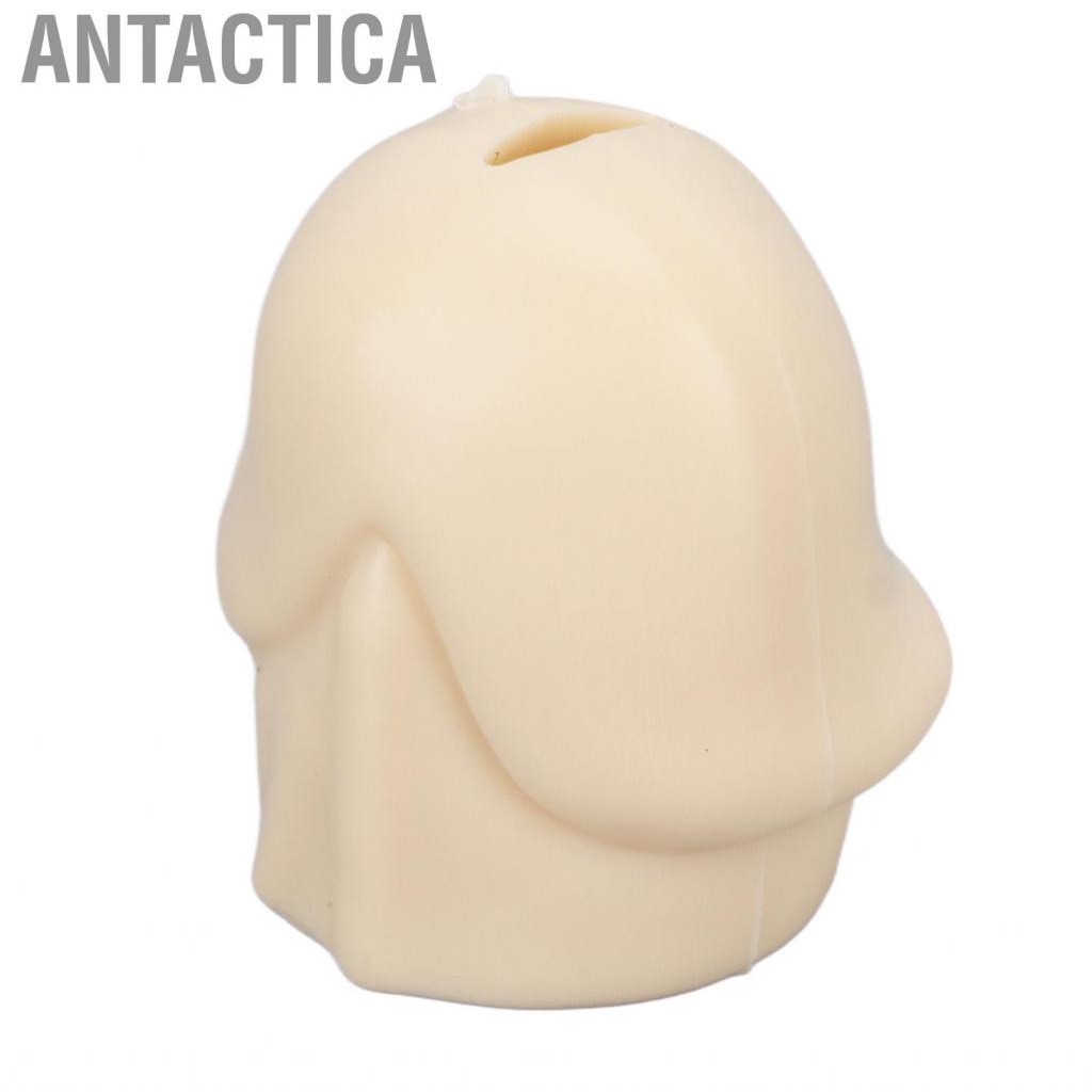 Antactica Toothpaste Topper  Safe Plastic Toothpaste Cap for Daily Hygiene