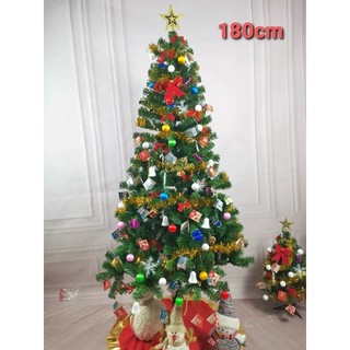 Cây thông noel kèm phụ kiện