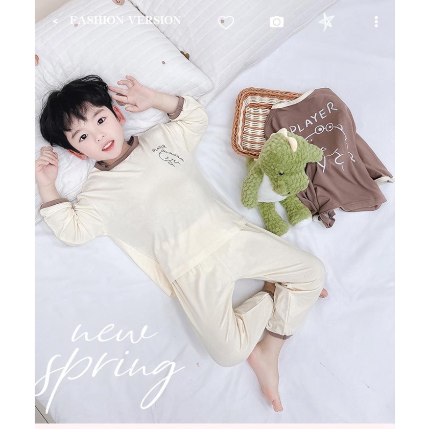 Bộ Đồ Ngủ Tay Dài In Hoạt Hình Dành Cho Bé Trai