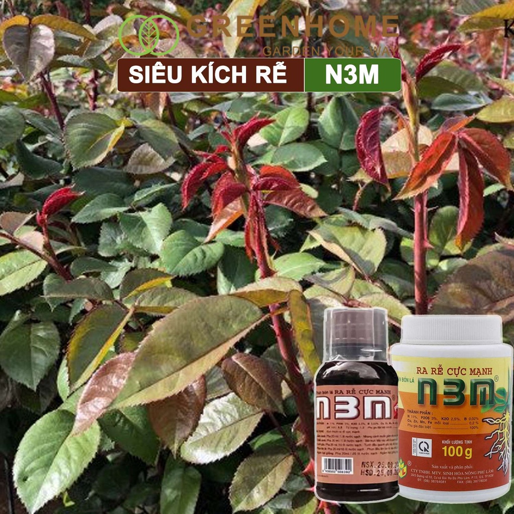 Phân kích rễ H2T Farm, N3M, hũ 100gr, dùng giâm, chiết cành, ngâm hạt giống