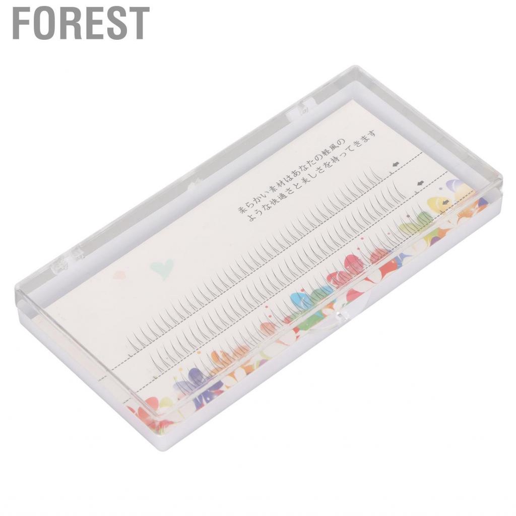 Forest V Shaped Lower Lashes Bottom