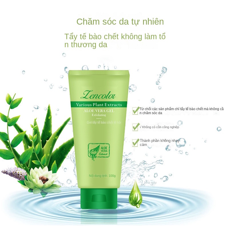 Gel Tẩy Tế Bào Chết 100g Chiết Xuất Lô Hội Làm Sạch Sâu Cho Da Mặt Và Toàn Thân