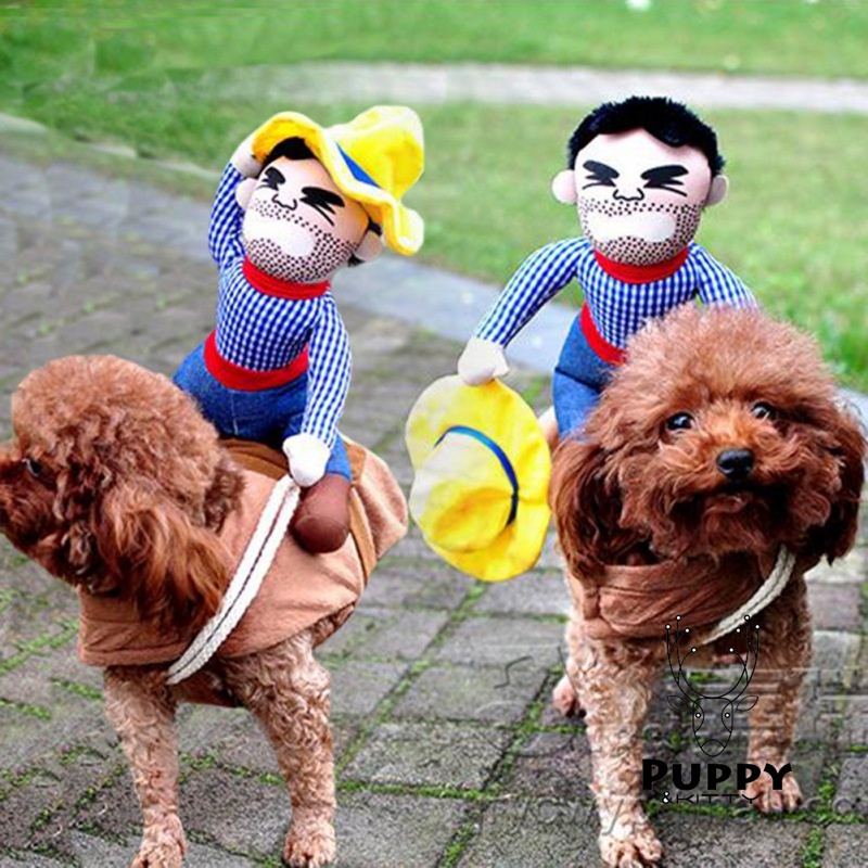 Trang PhụC halloween / GiáNg Sinh Cho Thú Cưng