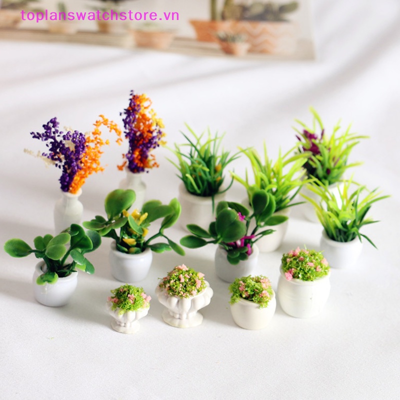 Toplanswatchstore Chậu Cây mini 12 Kiểu 1: 12 Thân Thiện Với Môi Trường Trang Trí Nhà Búp Bê