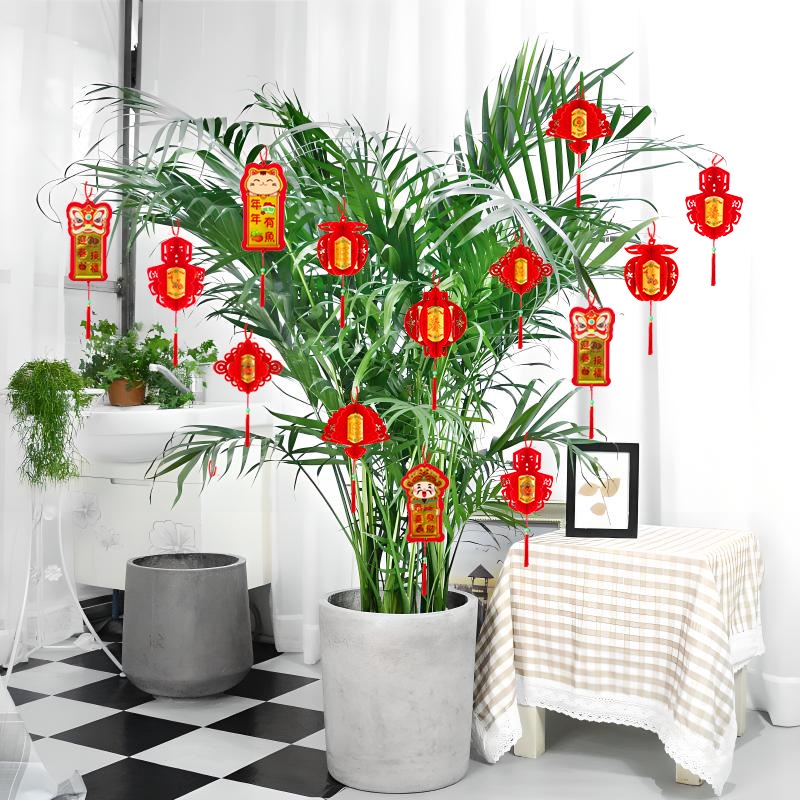 6 Chiếc Tua Rua Cây Cảnh Mặt Dây Chuyền Tết Nguyên Đán Treo Đồ Trang Trí Năm Rồng 3d 2 Mặt Đổ Xô Vải Trang Trí Nhà miyia