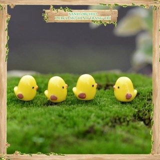 Tiểu cảnh "gà con mini" trang trí sen đá, sân vườn/ chậu cây, dyi, terrarium đẹp