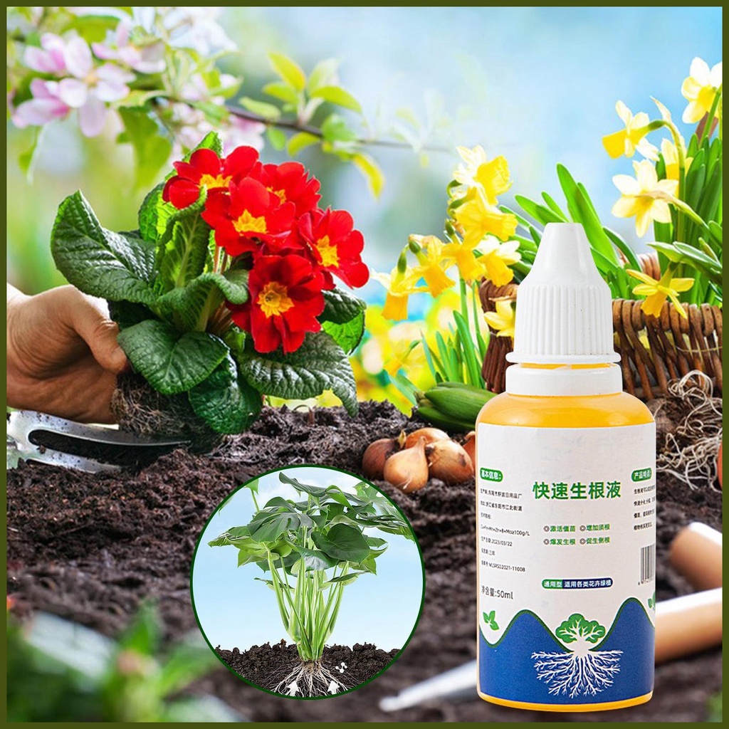 Dung Dịch Hỗ Trợ Làm Rễ Cây 50ml Tiện Dụng Chất Lượng Cao