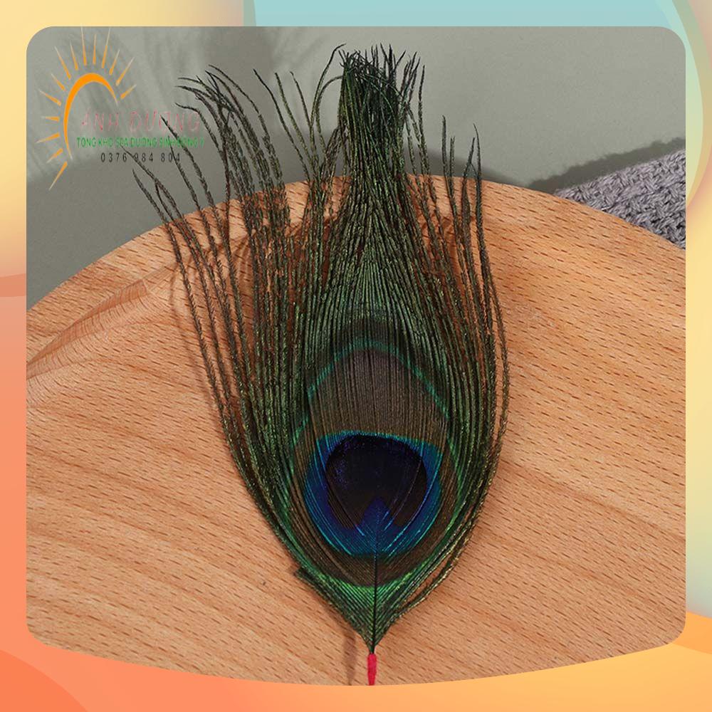 Lông Công, Lông Hồng Dụng Cụ Ngoáy Tai Thư Giãn Massage Gội Đầu Dưỡng Sinh