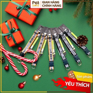 Dây vòng cổ dạ quang cho thú cưng, chó mèo, dây dắt chó mèo 2cm - PetChoice