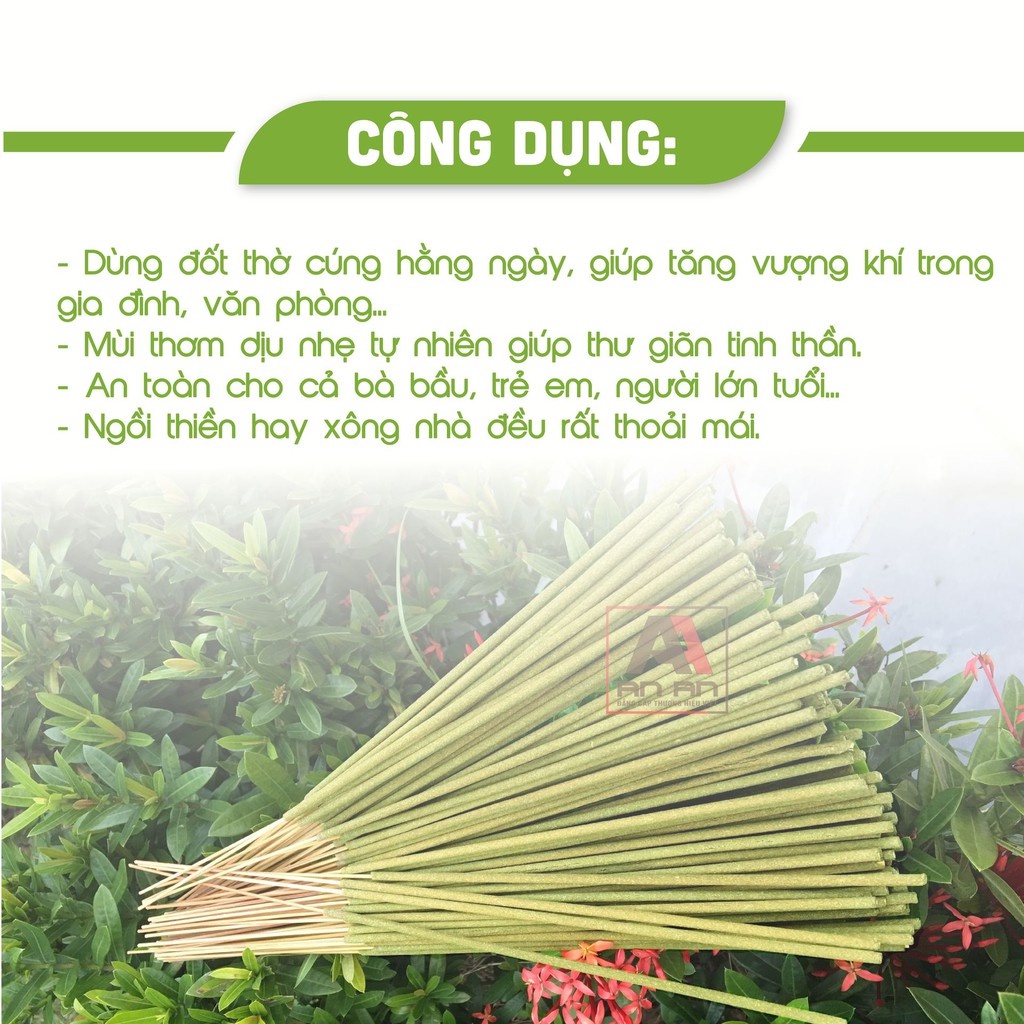 Nhang sạch hương Khuynh diệp, Hương Bài An An thơm phòng đuổi muỗi