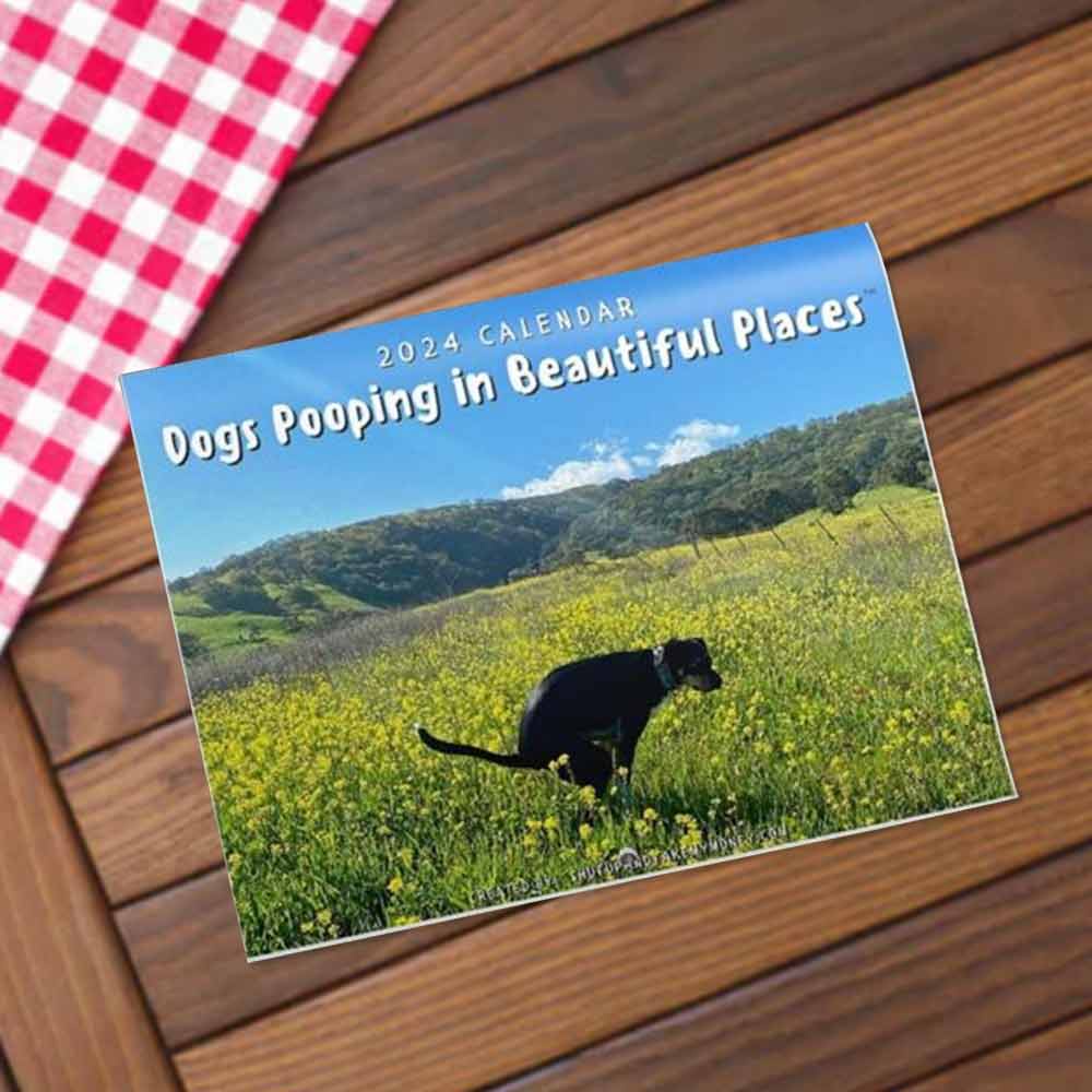 2024 Calendar-Funny Dogs Pooping in Beautiful Places Wall Calendar